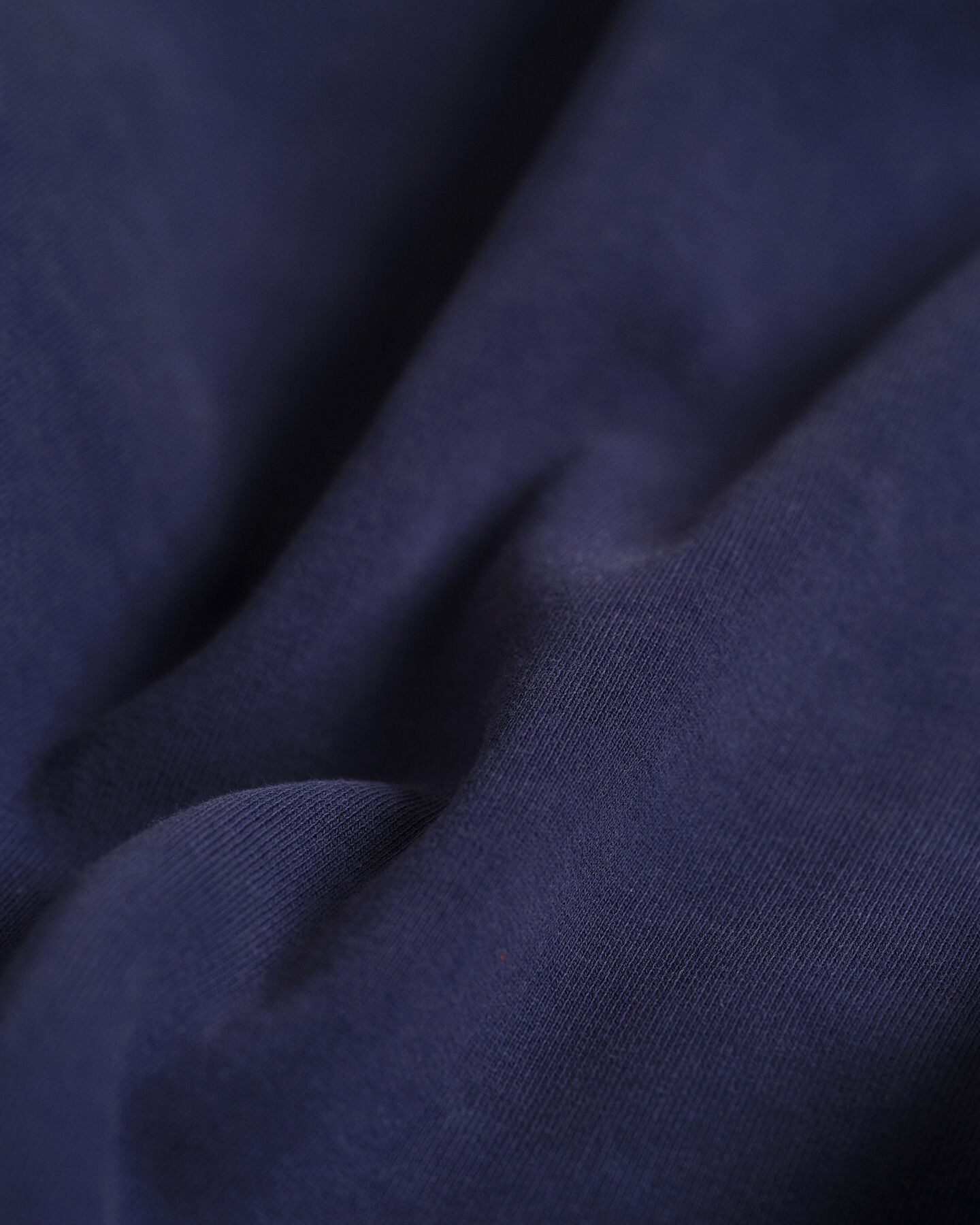 Wrangler x GANT Sweatshirt mit Badge