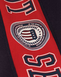 Teen Girls Crest Shield Leggings